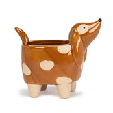 Pup Planter